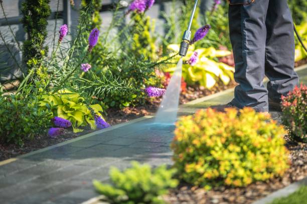 Professional Pressure Washing in Madison, NJ